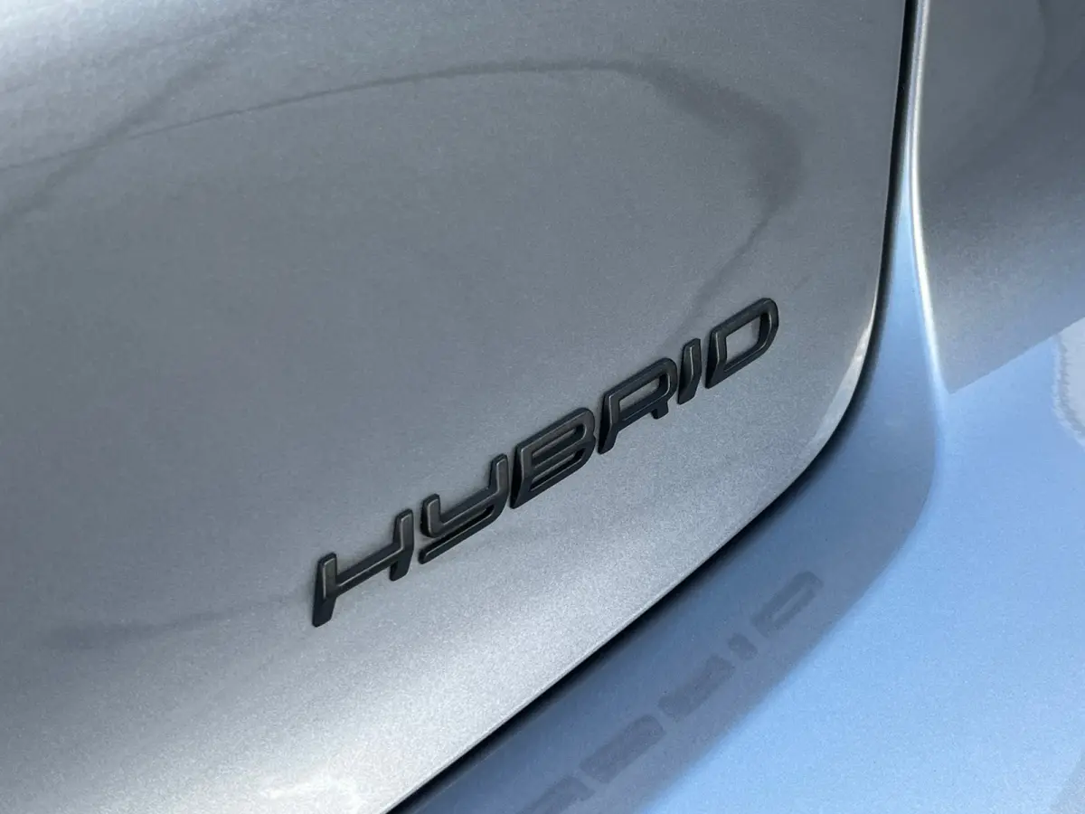 Hybrid 100 e-DCS6 Allure | Adaptive Cruise | Camera | Navigatie | Stoelverwarming |