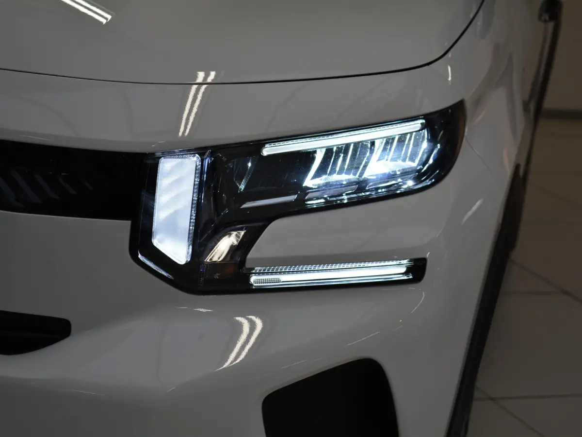 Max 113pk 44 kWh | Actieradius 300km | 3 fase lader |