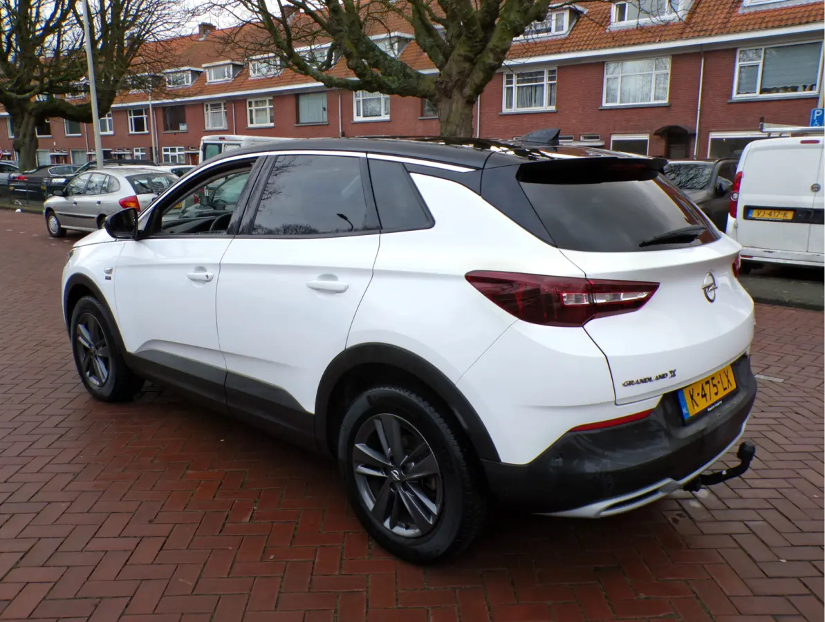 1.2 Turbo Edition 2020 1e EIGENAAR GEHEEL DEALER ONDERHOUDEN..131 PK