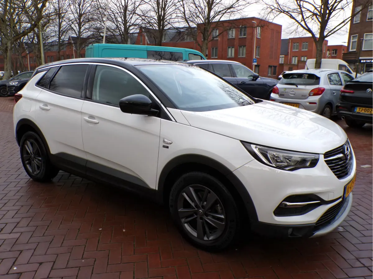 1.2 Turbo Edition 2020 1e EIGENAAR GEHEEL DEALER ONDERHOUDEN..131 PK