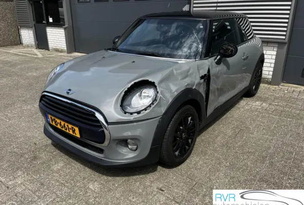 Mini 1.5 NAVI/CRUISE/PDC