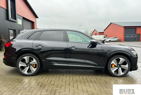 55 quattro S edition 95 kWh