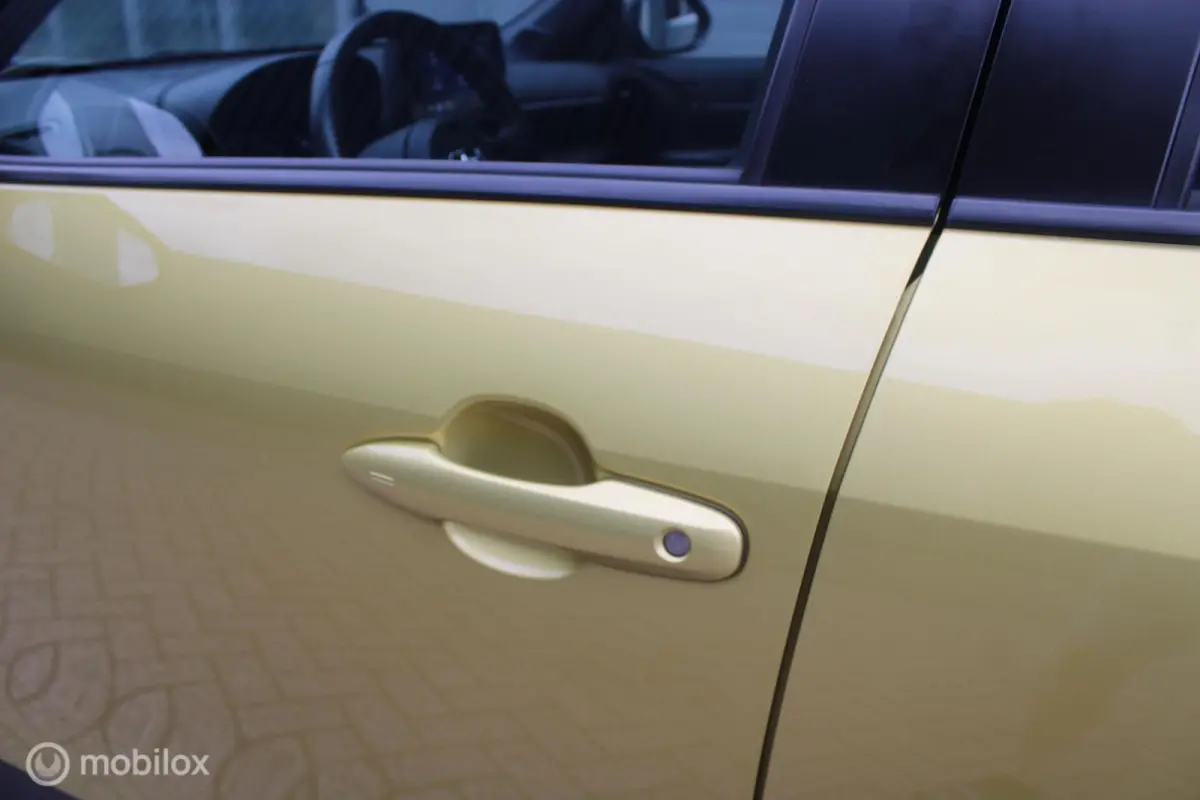 1.5 Hybrid Dynamic NL Auto NAP