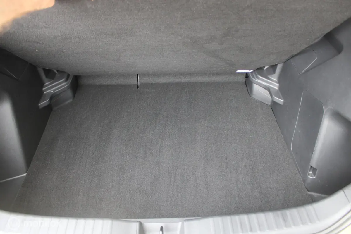 1.5 Hybrid Dynamic NL Auto NAP