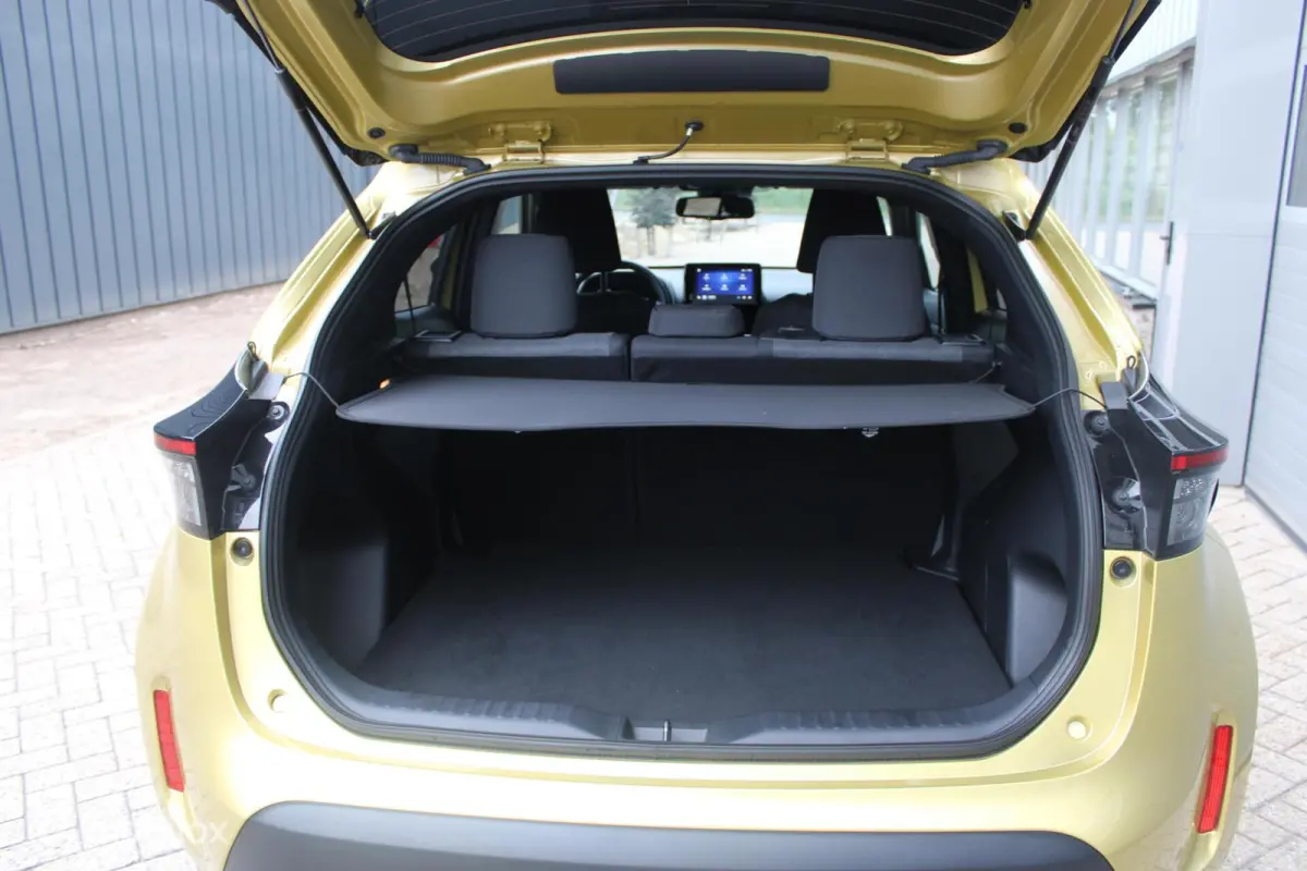 1.5 Hybrid Dynamic NL Auto NAP