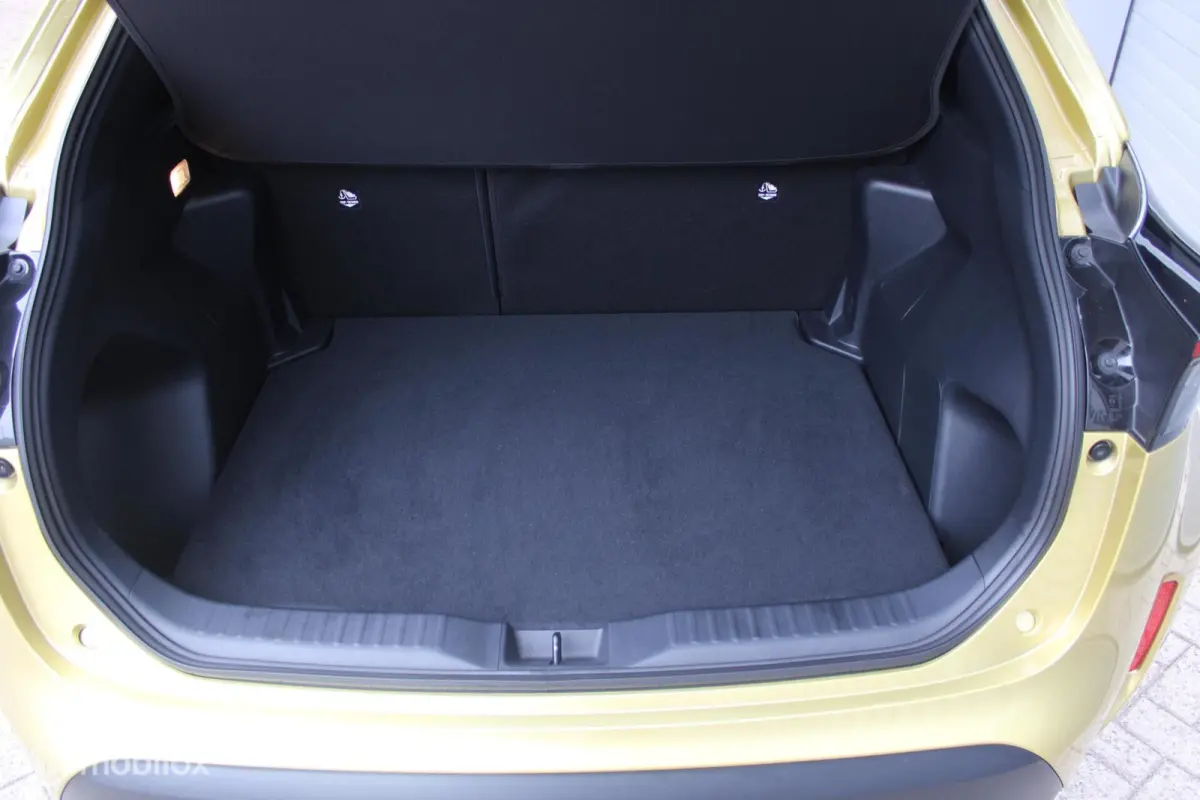 1.5 Hybrid Dynamic NL Auto NAP