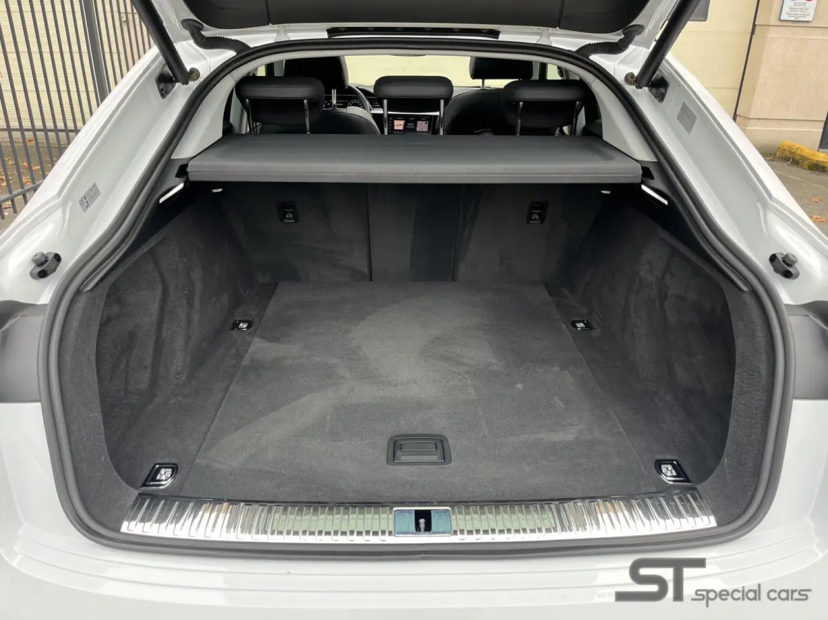 55 quattro S edition 95 kWh