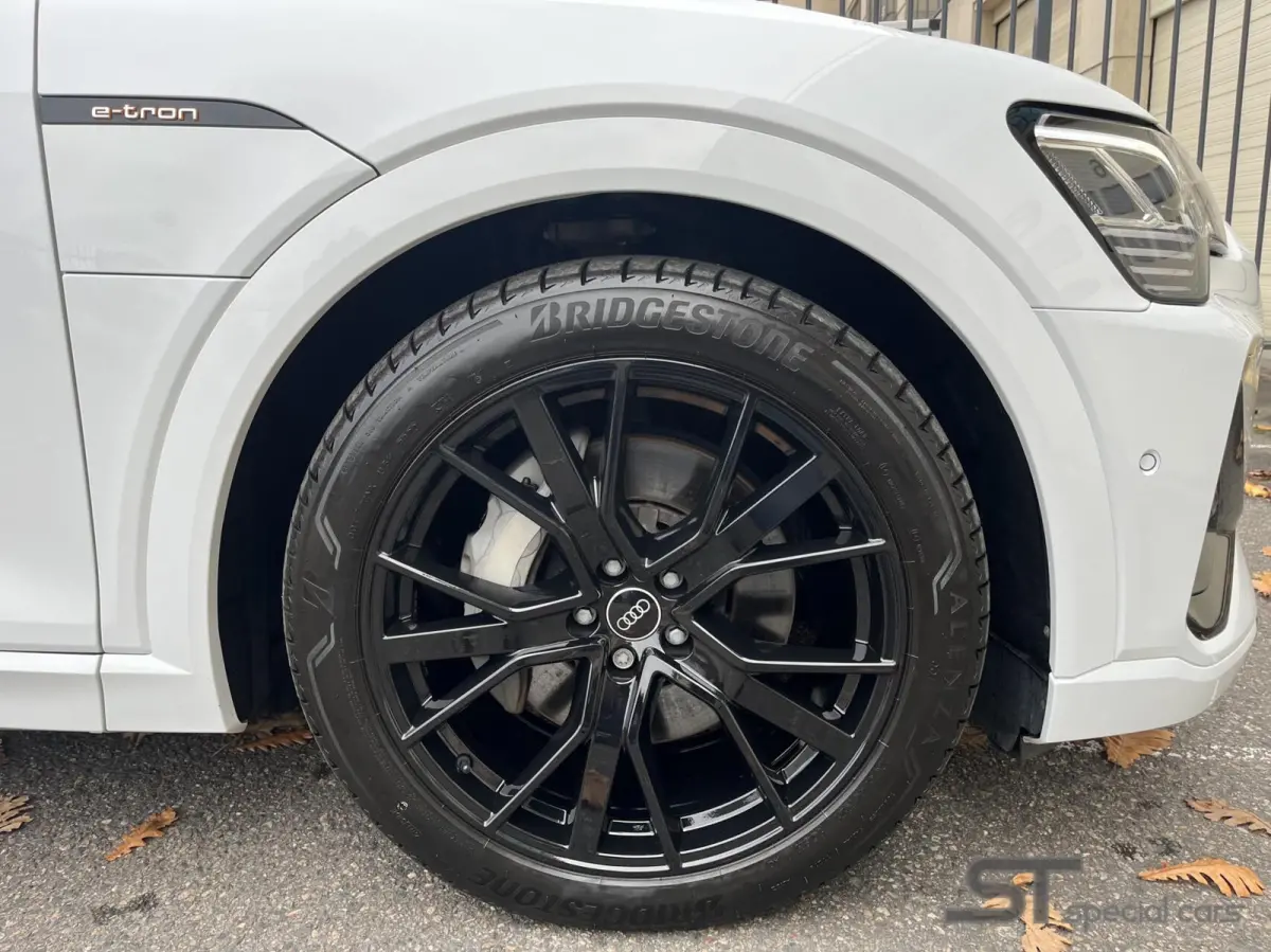 55 quattro S edition 95 kWh