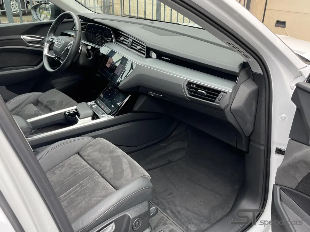 55 quattro S edition 95 kWh