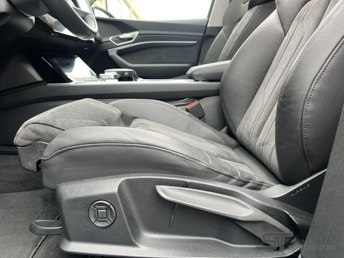 55 quattro S edition 95 kWh