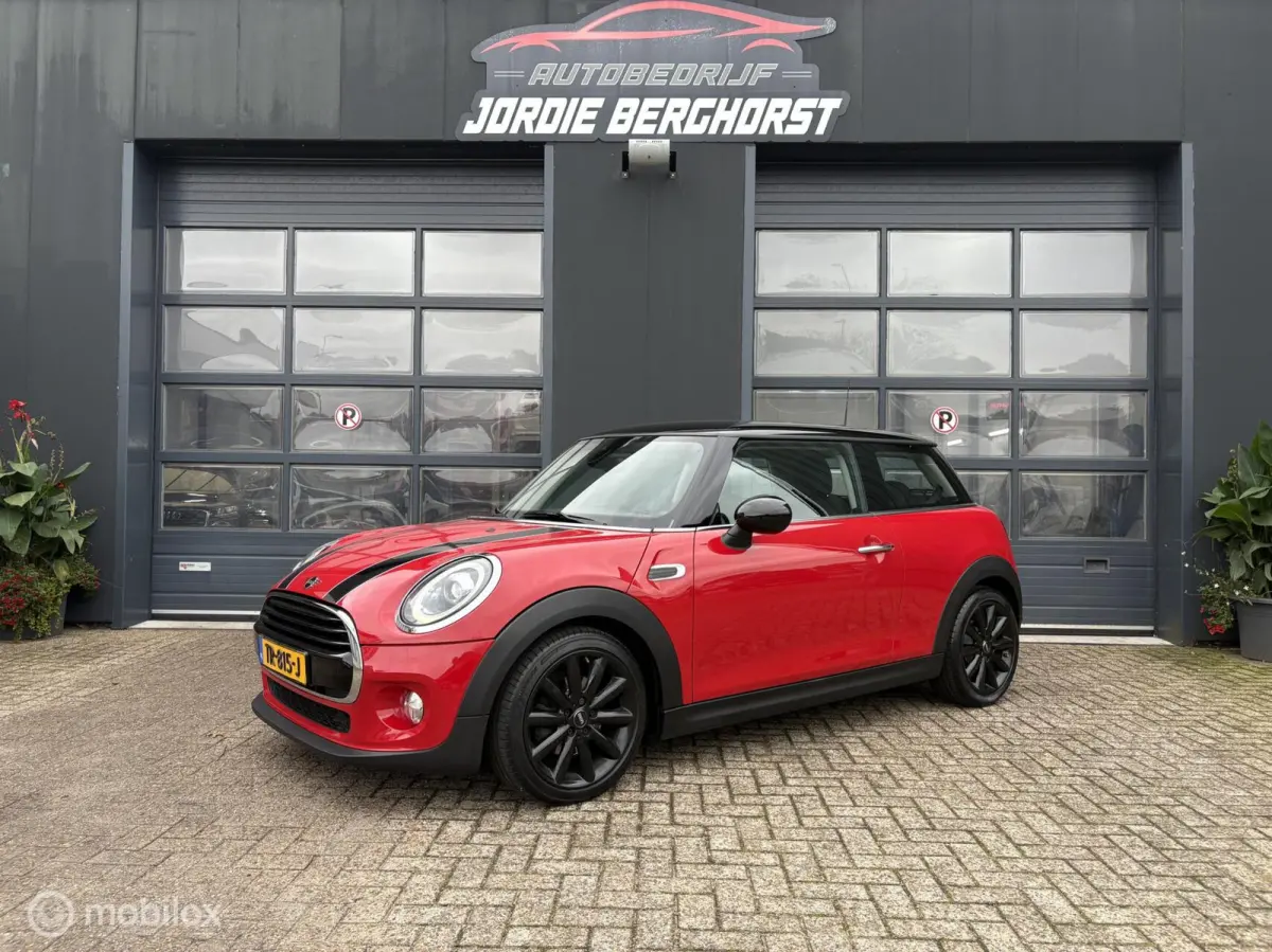 Mini 1.5 Chili Automaat