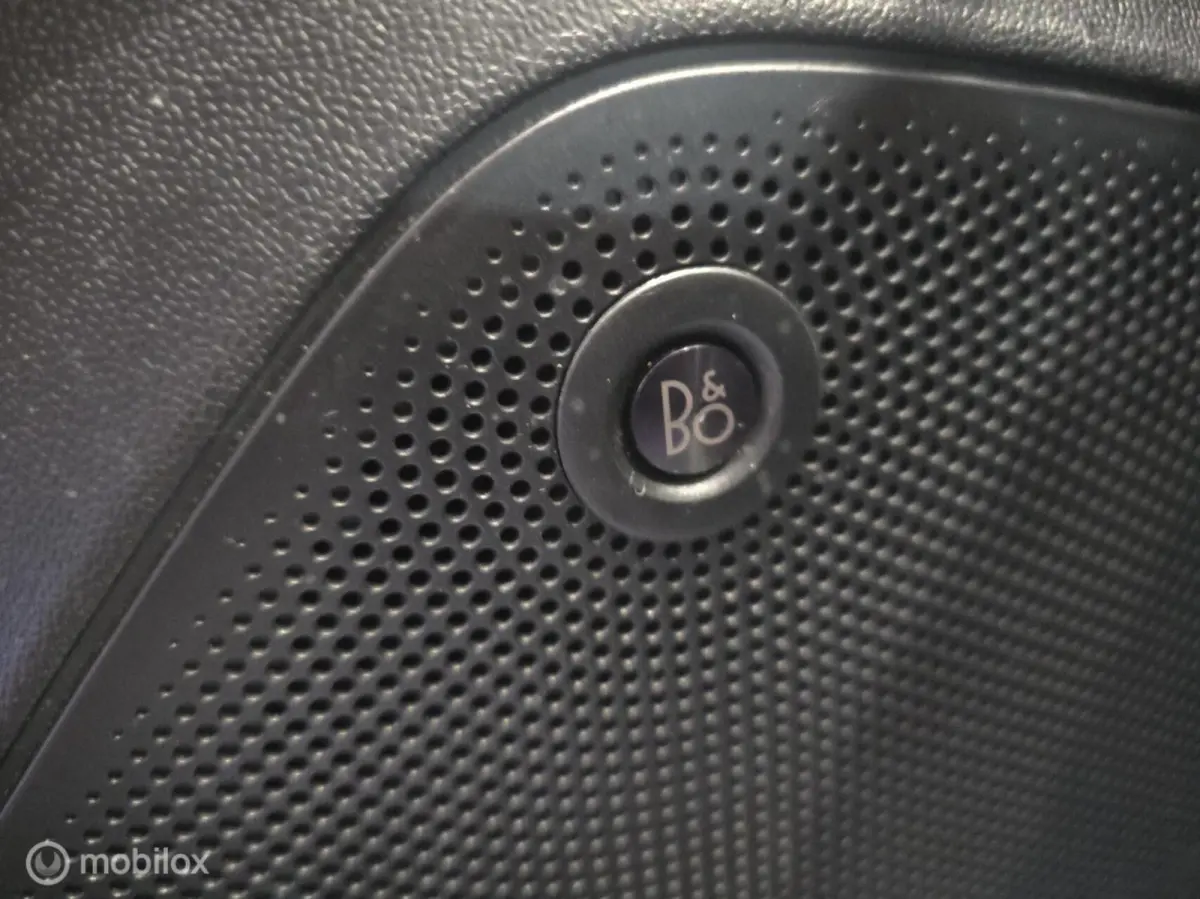 1.0 EcoBoost Titanium / B&O / Navigatie