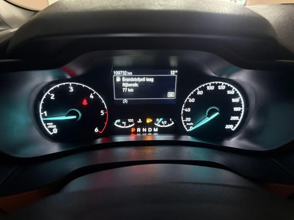 1.5 EcoBlue L1 l AUTOMAAT l HONDENVERVOER l CRUISE CONTROL