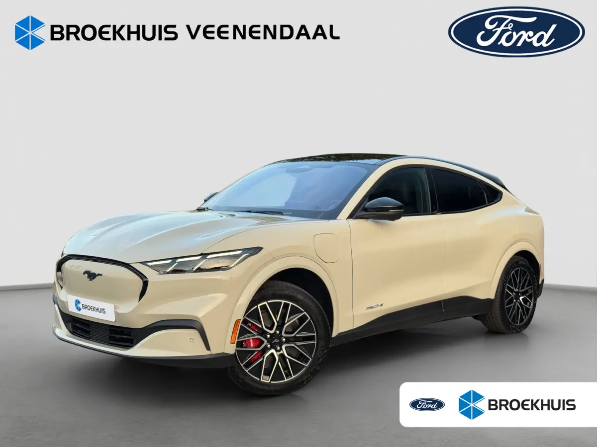 Extended Premium RWD 88 kWh | Snel Leverbaar! | Pano | Leder | Adap. Cruise | B&O Audio
