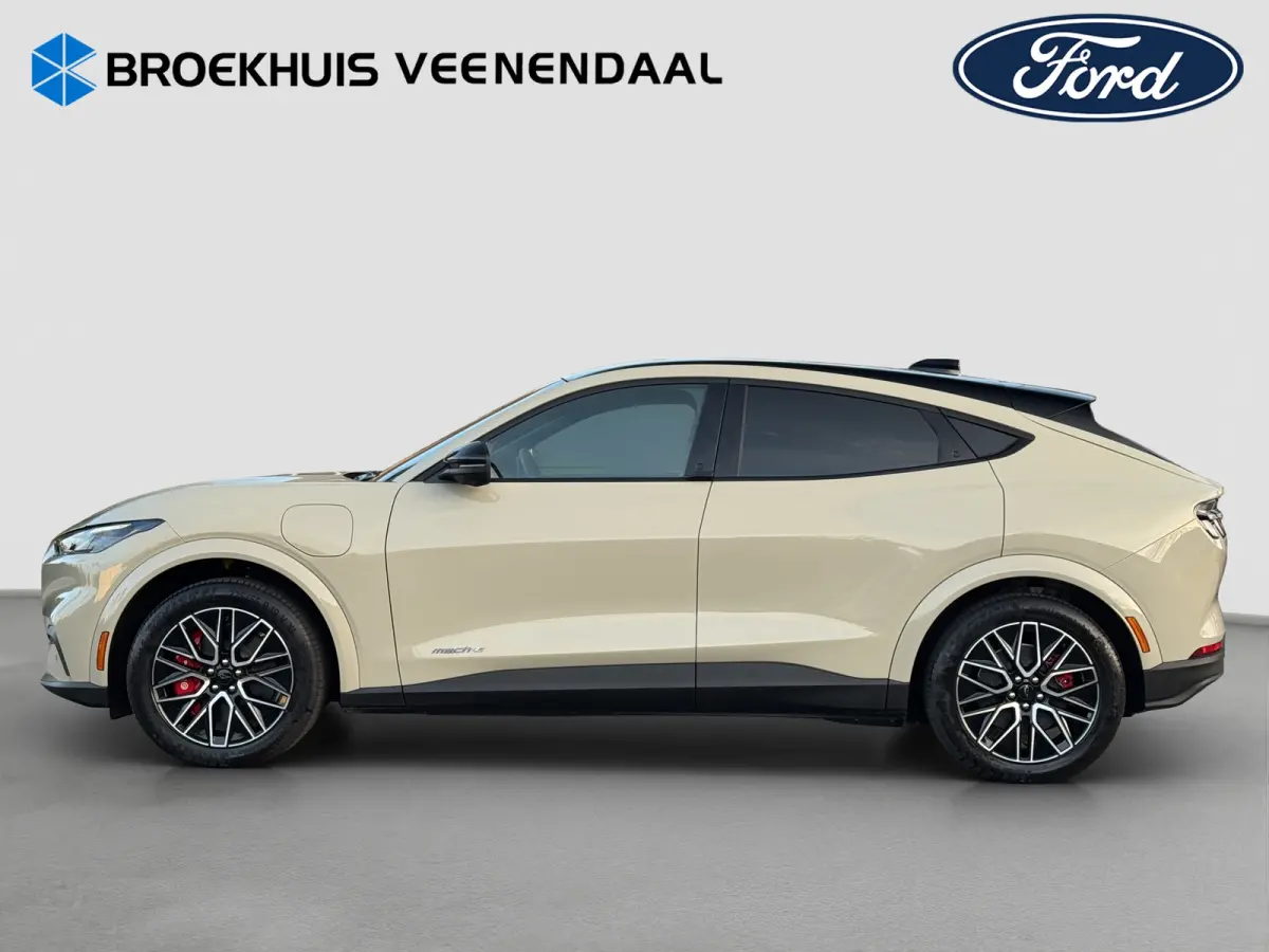 Extended Premium RWD 88 kWh | Snel Leverbaar! | Pano | Leder | Adap. Cruise | B&O Audio