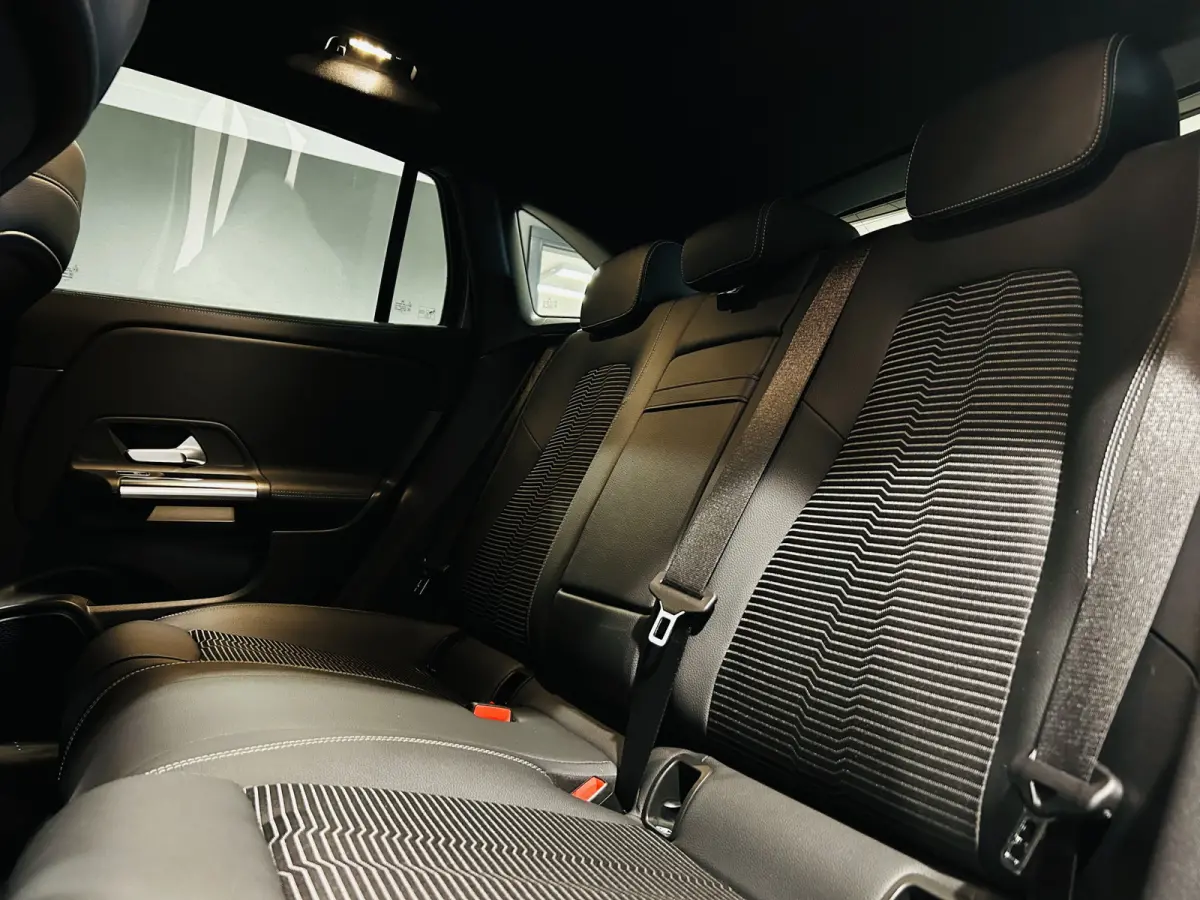 250 Luxury 67kWh // SoH 97% // Camera // Dode Hoek Ass. // D. Glas // Elektrische Achterklep // Sfeerverlichting // Widescreen // Cruise