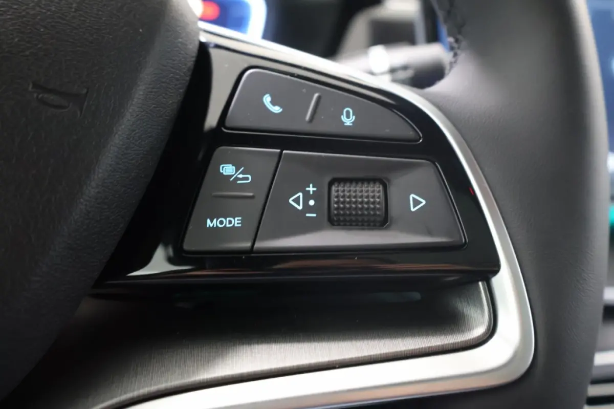 1.5 DM-i FWD Boost | BYD Specialist in Limburg