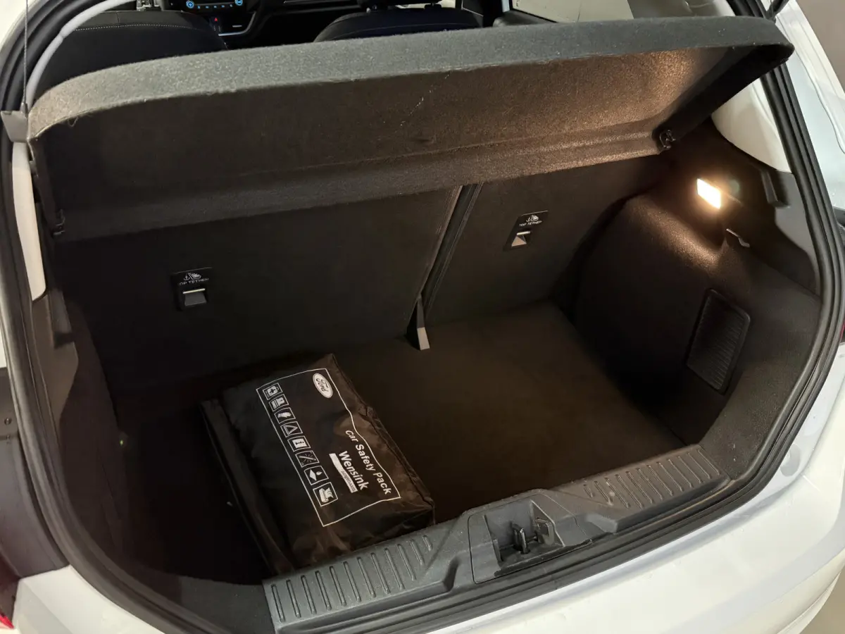 1.0 EcoBoost Titanium | Apple Carplay | LED | DAB+ | PDC