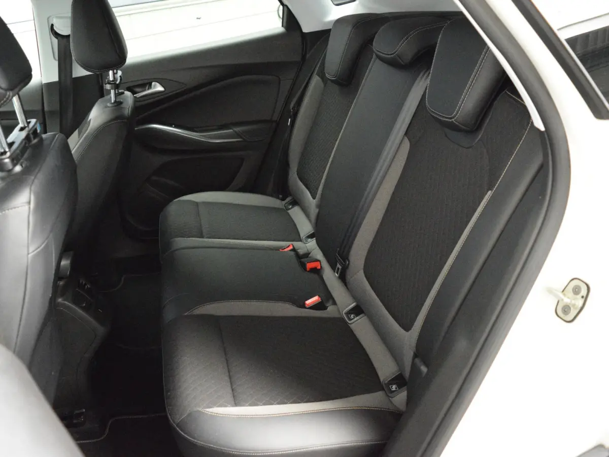 1.2 Turbo Business + 130 PK | NAVIGATIE & CARPLAY | ACHTERUITRIJCAMERA MET SENSOREN | E.C.C. | SIDE STEPS | 19" L.M.V. MET ALL SEASON BANDEN |