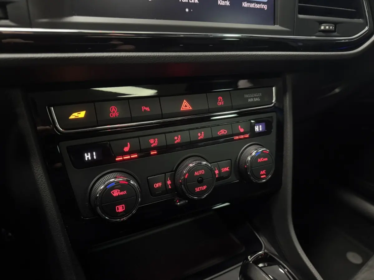 Cupra 300 4Drive Pano Virtual Acc Sfeer