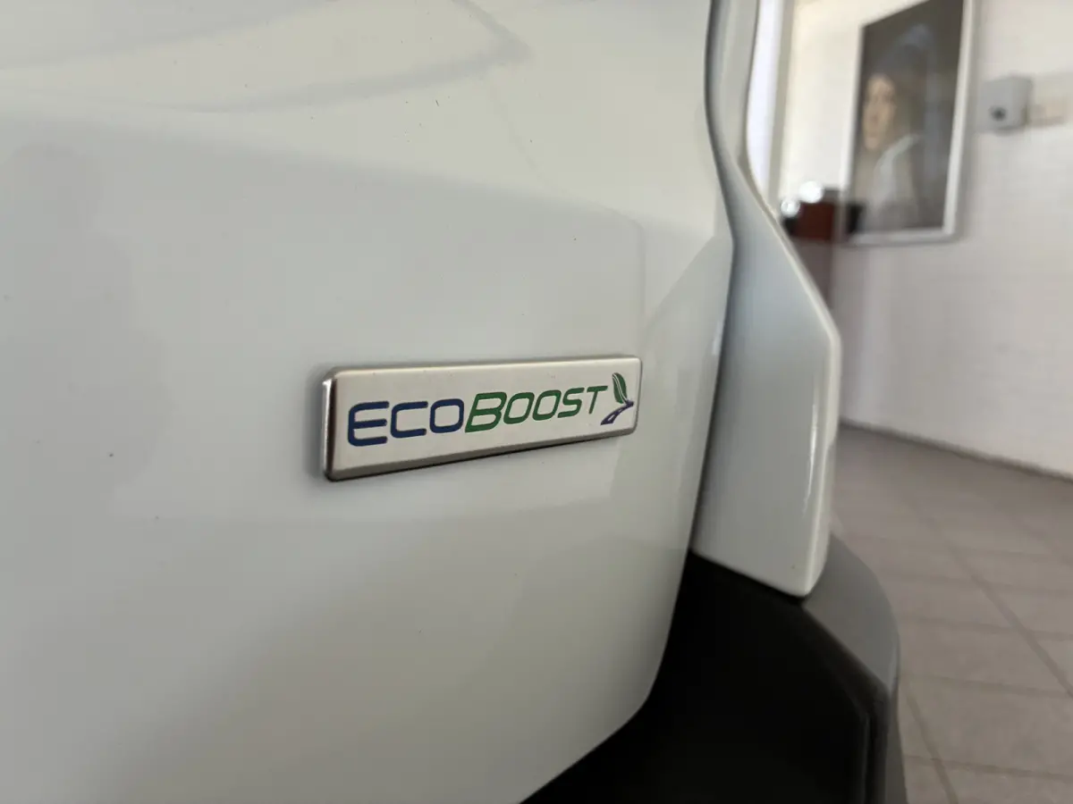 125pk EcoBoost Titanium navi-winterpack-blis