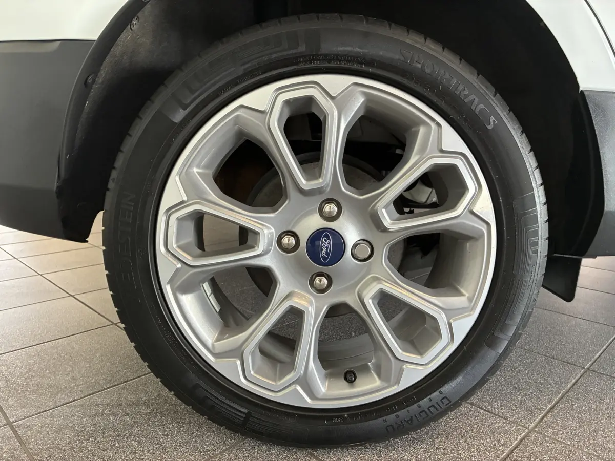 125pk EcoBoost Titanium navi-winterpack-blis