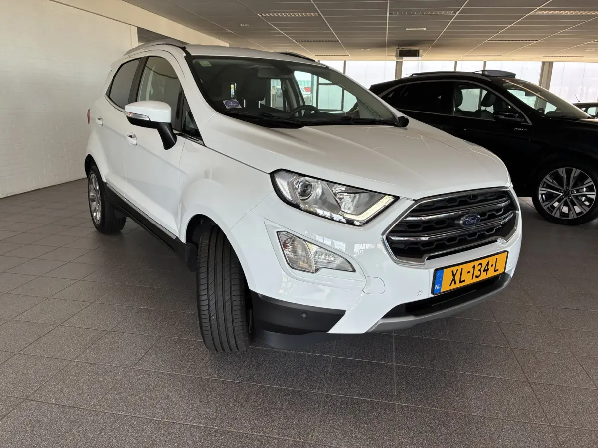 125pk EcoBoost Titanium navi-winterpack-blis