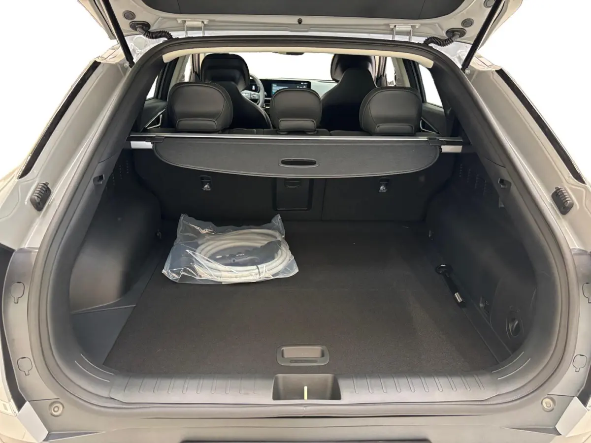 Light Edition 63 kWh Navigatie | Stoel + stuurverwarming | Achteruitrijcamera | Climate control |