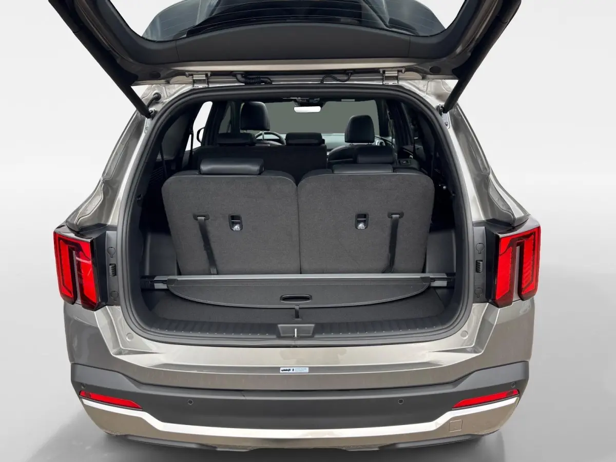 1.6 T-GDi Plug-in Hybrid 4WD ExecutiveLine 7p | Bel voor info | 253 pk | Head-up display | Nu €3000 Inruilpremie!