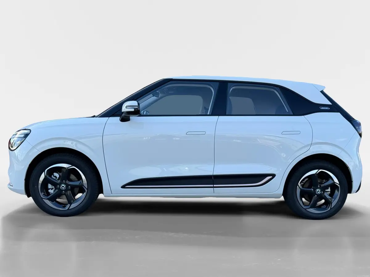 Premium Edition 42 kWh |Full Option|Rijklaarprijs|Nieuw|310 km range|Meerdere kleuren beschikbaar|