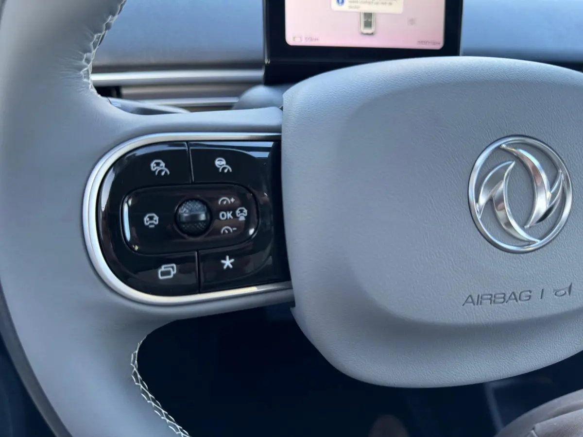 Premium Edition 42 kWh |Full Option|Rijklaarprijs|Nieuw|310 km range|Meerdere kleuren beschikbaar|