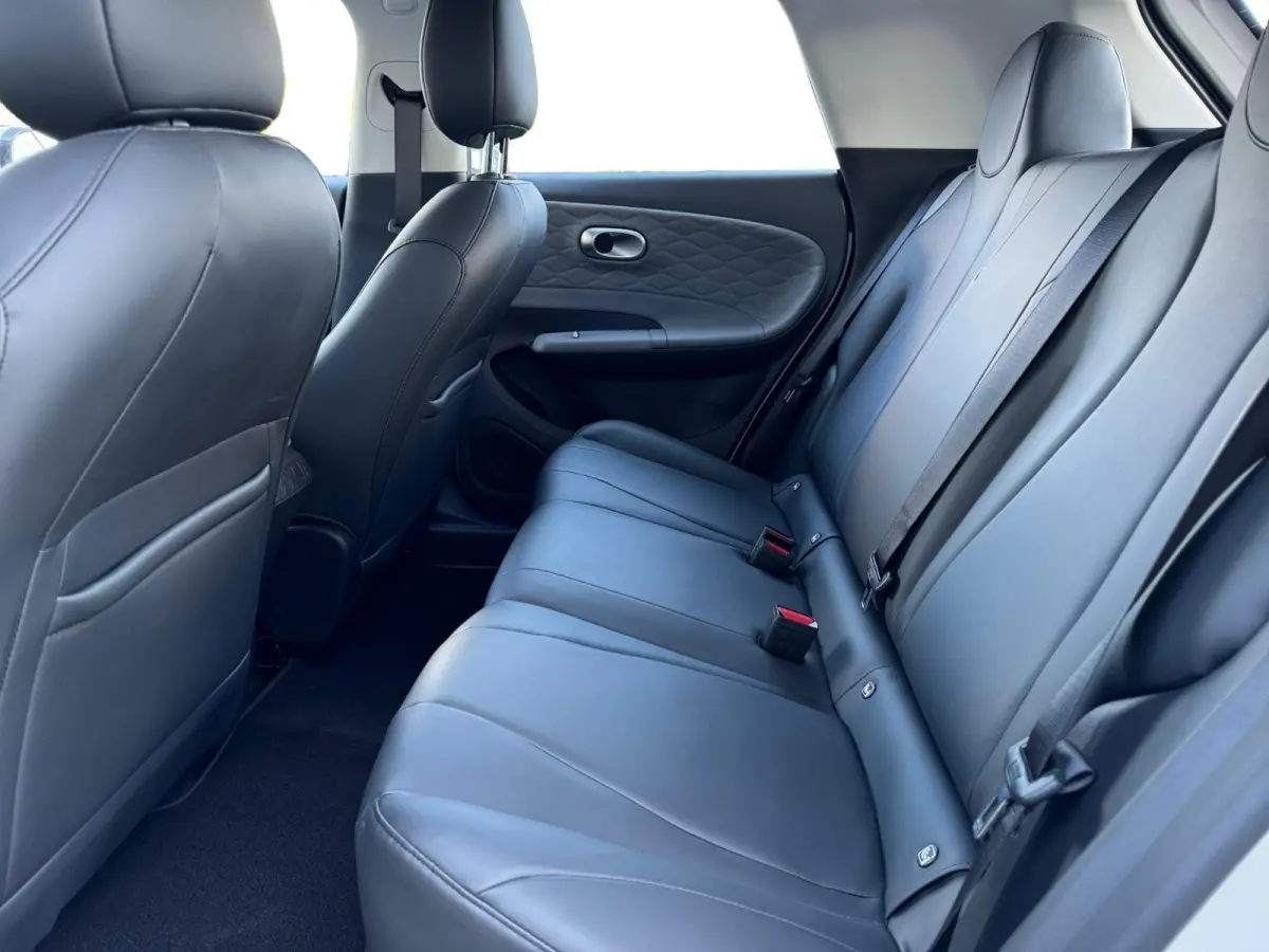 Premium Edition 42 kWh |Full Option|Rijklaarprijs|Nieuw|310 km range|Meerdere kleuren beschikbaar|