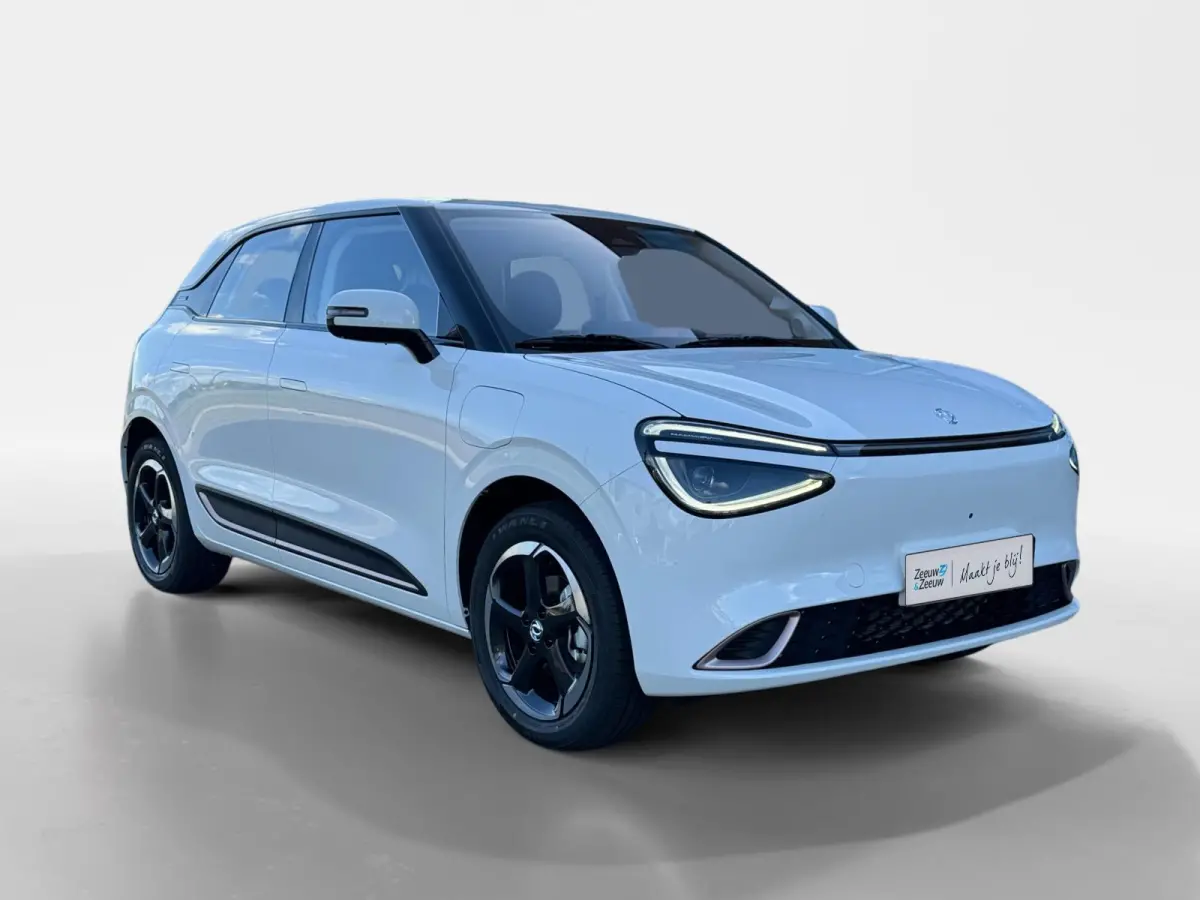 Premium Edition 42 kWh |Full Option|Rijklaarprijs|Nieuw|310 km range|Meerdere kleuren beschikbaar|