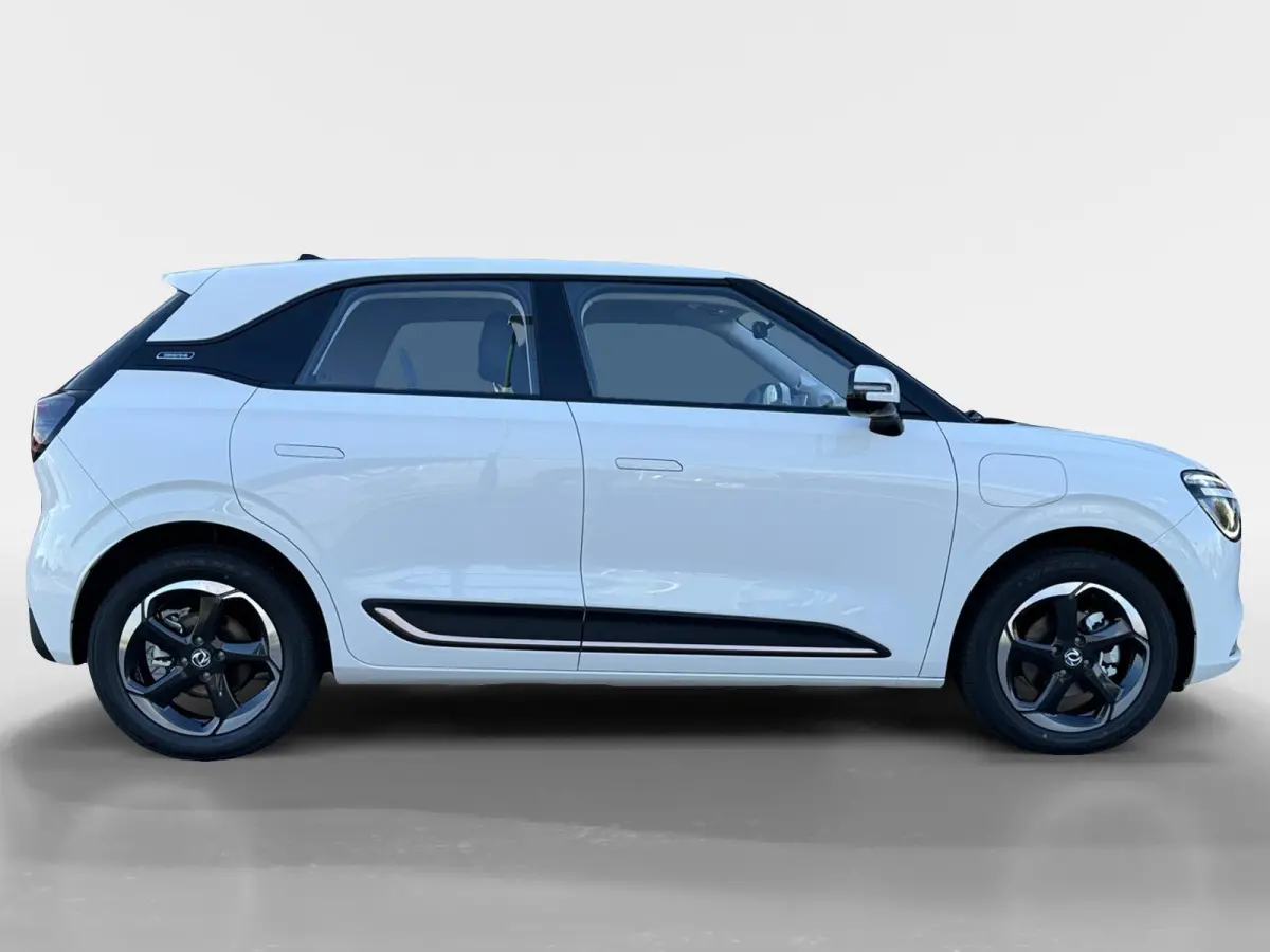 Premium Edition 42 kWh |Full Option|Rijklaarprijs|Nieuw|310 km range|Meerdere kleuren beschikbaar|