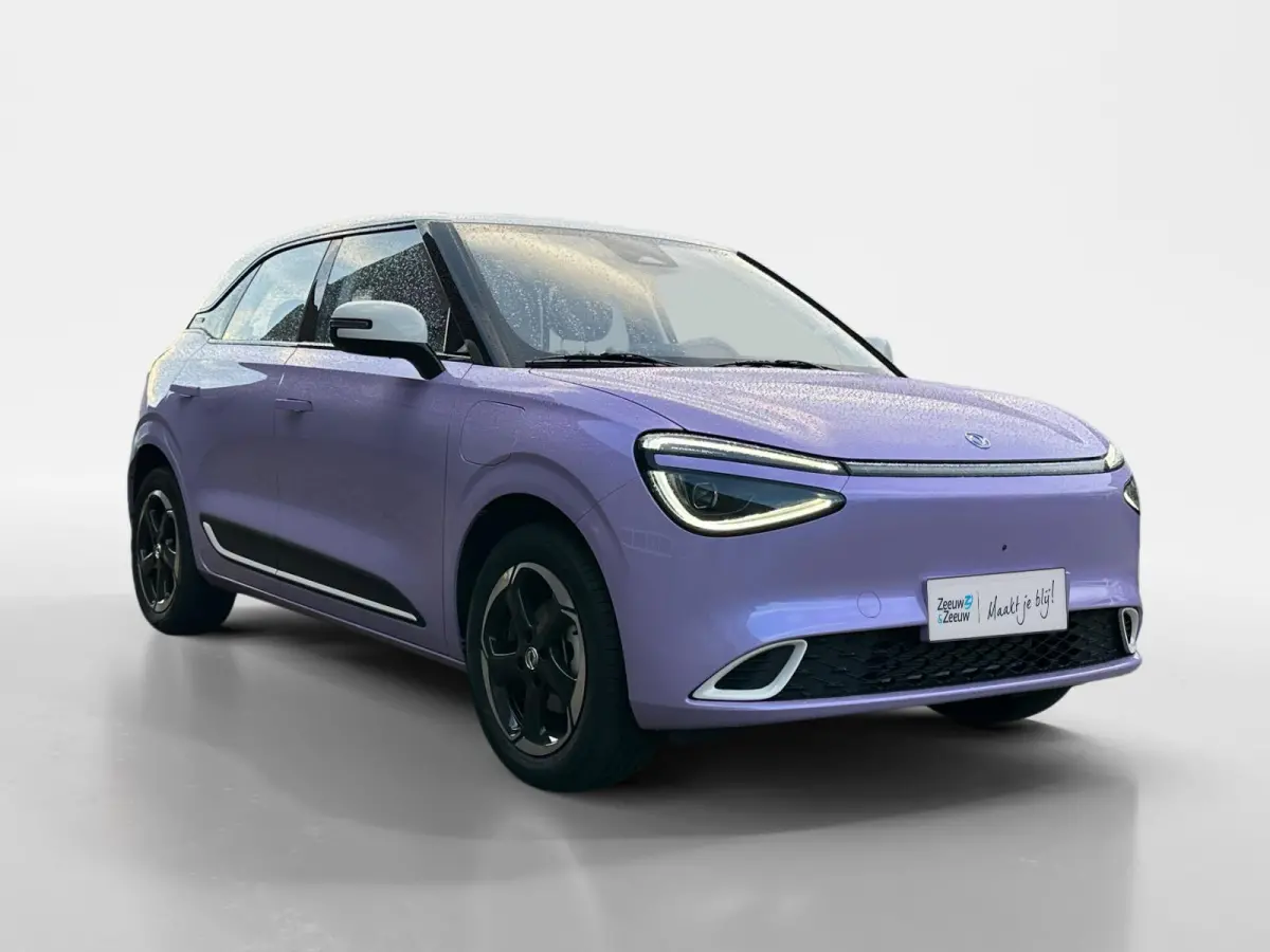 Premium Edition 42 kWh |Full Option|Rijklaarprijs|Nieuw|310 km range|