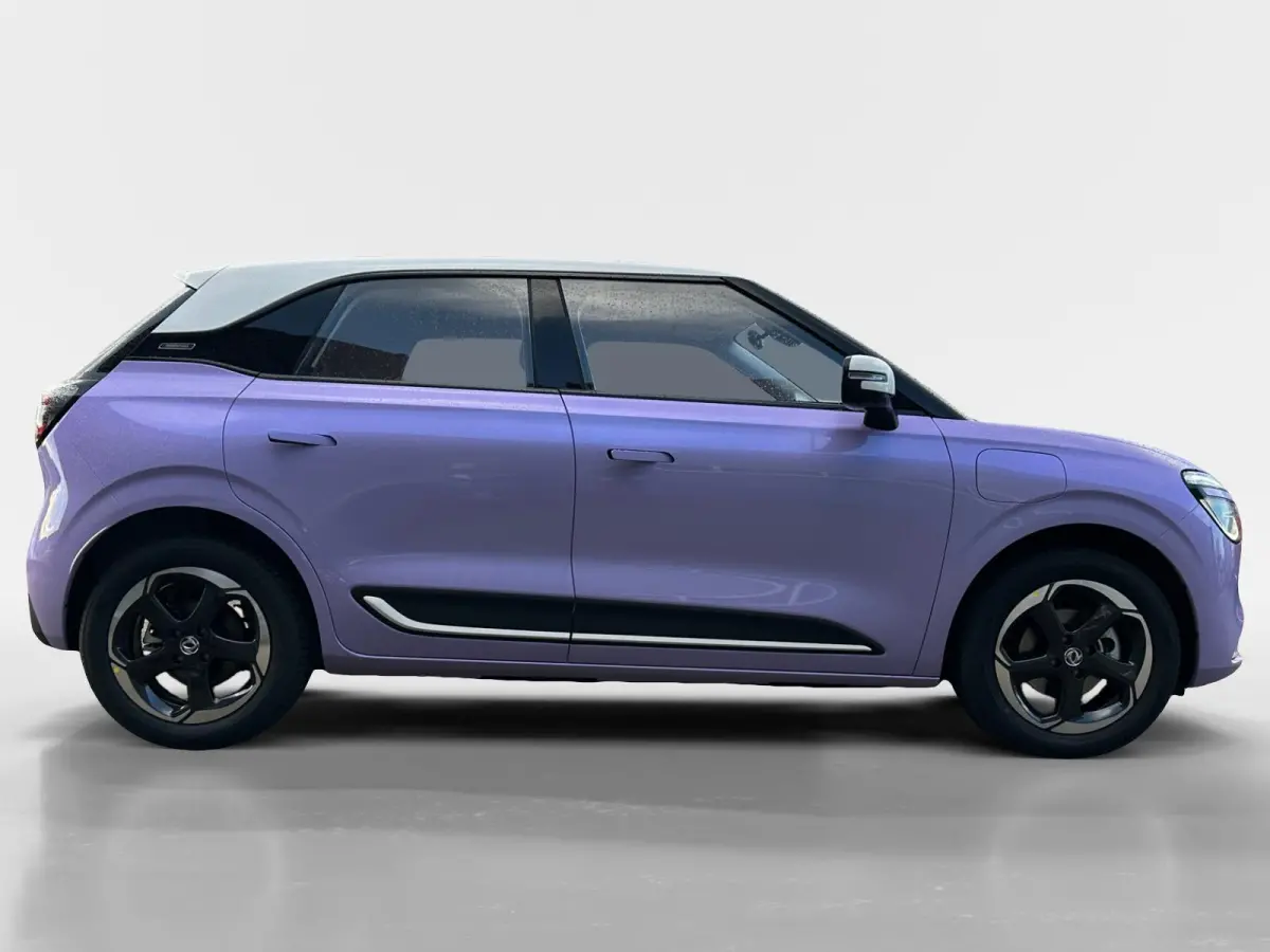Premium Edition 42 kWh |Full Option|Rijklaarprijs|Nieuw|310 km range|
