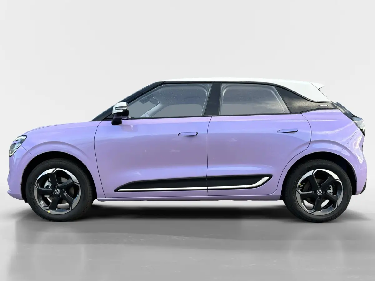 Premium Edition 42 kWh |Full Option|Rijklaarprijs|Nieuw|310 km range|