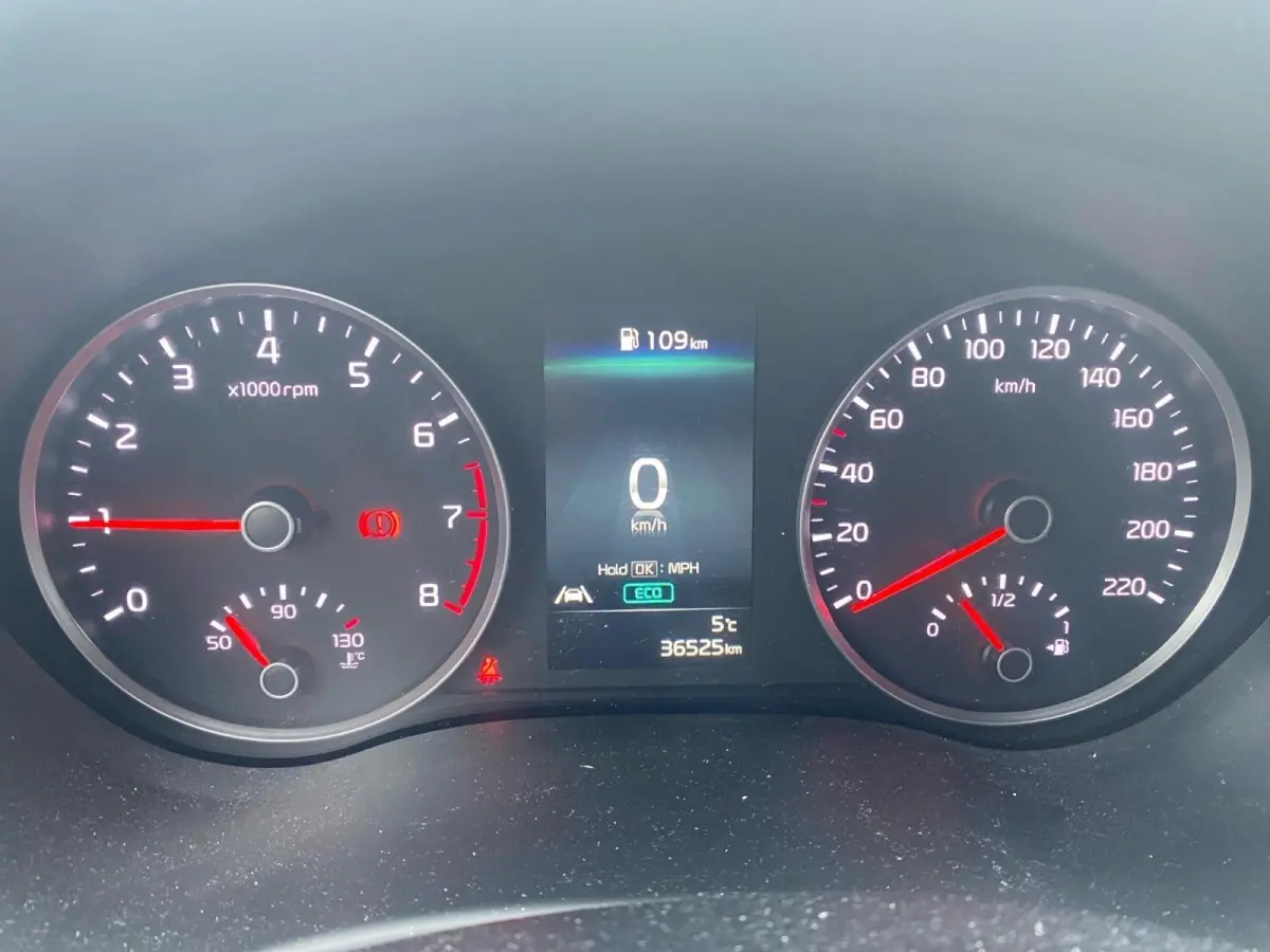 1.0 T-GDi MHEV DynamicLine | Appel Carplay/Android Auto | Trekhaak | Parkeer camera achter | Cruise control