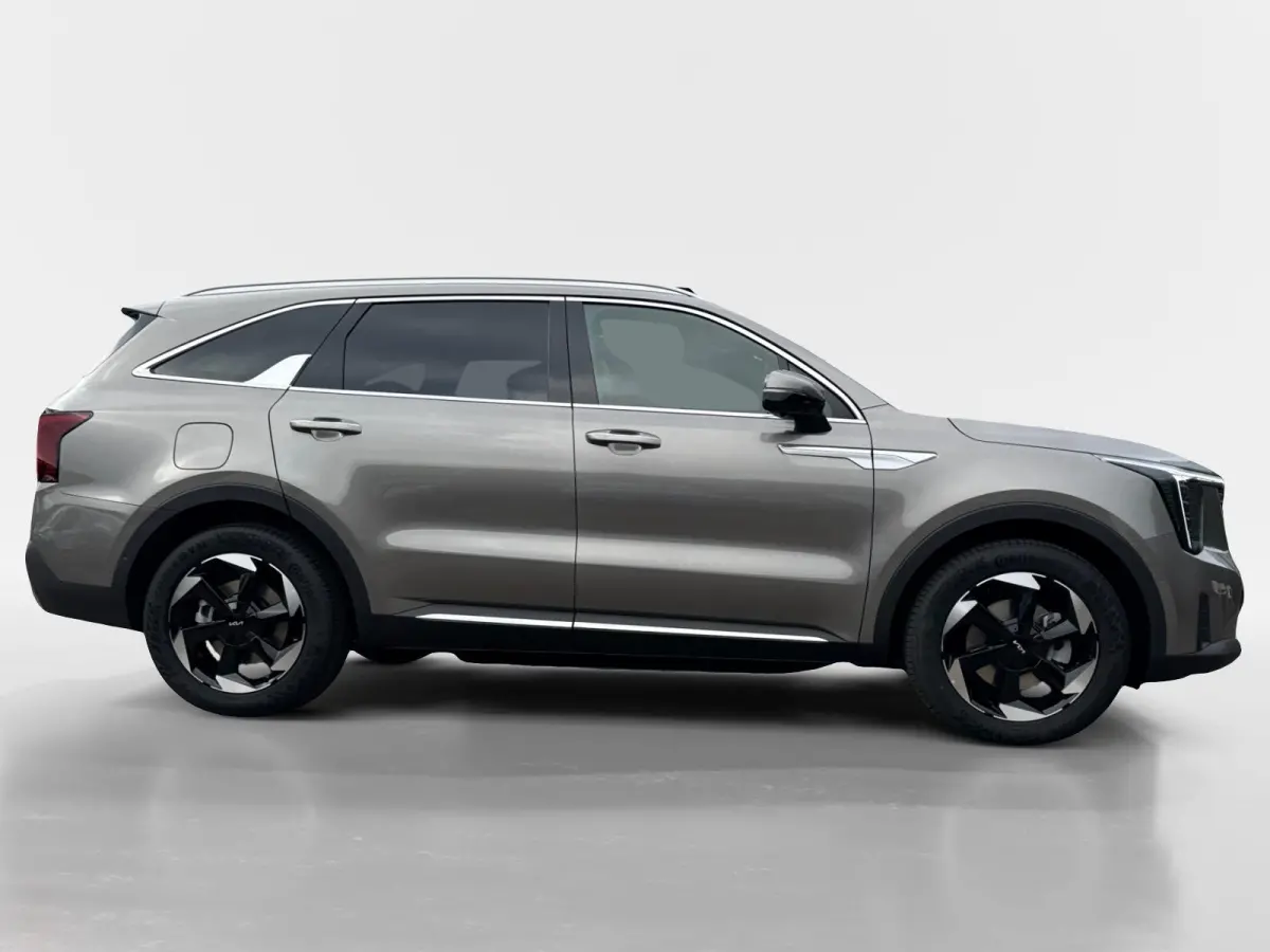 1.6 T-GDi Plug-in Hybrid 4WD ExecutiveLine 7p | Bel voor info | 253 pk | Head-up display | Nu €3000 Inruilpremie!
