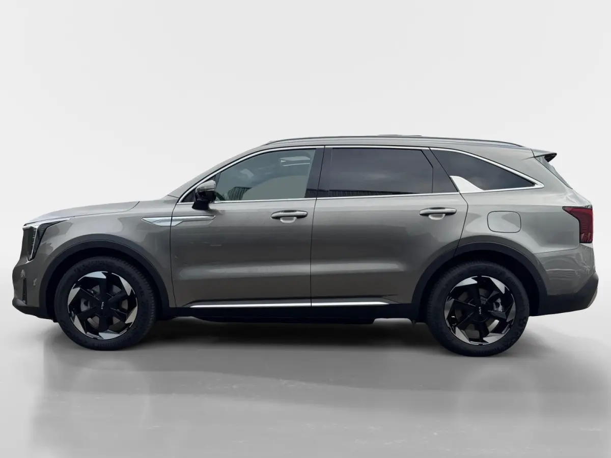 1.6 T-GDi Plug-in Hybrid 4WD ExecutiveLine 7p | Bel voor info | 253 pk | Head-up display | Nu €3000 Inruilpremie!