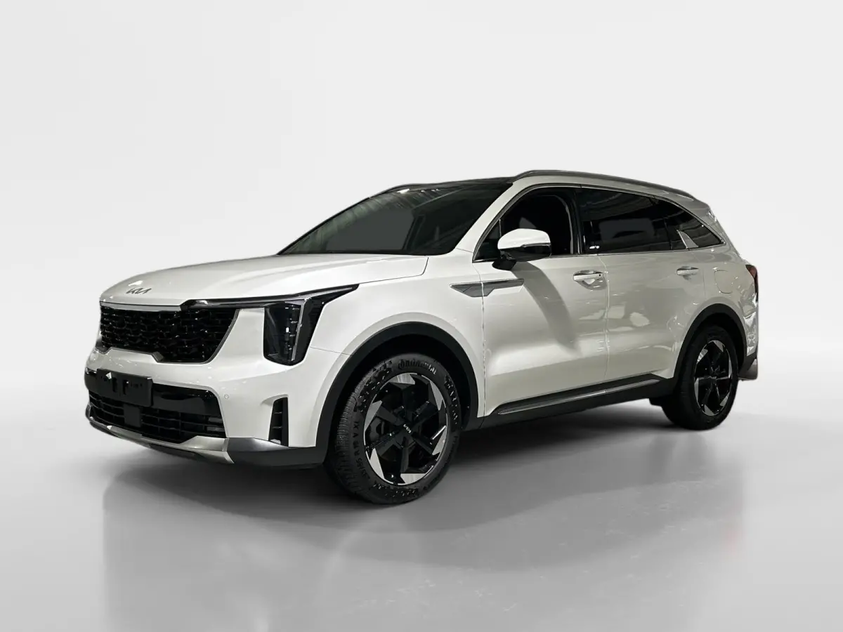 1.6 T-GDi Plug-in Hybrid 4WD DynamicPlusLine 7p | Glazen schuif-/kanteldak | BOSE premium geluidsinstallatie | Stoel- en stuurverwarming | NU €3000 inruilpremie!