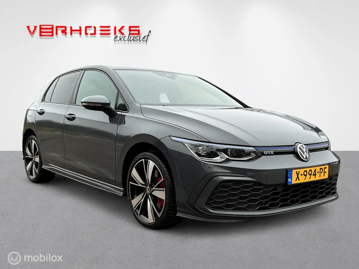 1.4 eHybrid GTE / Leer / ACC / 18" / Memory