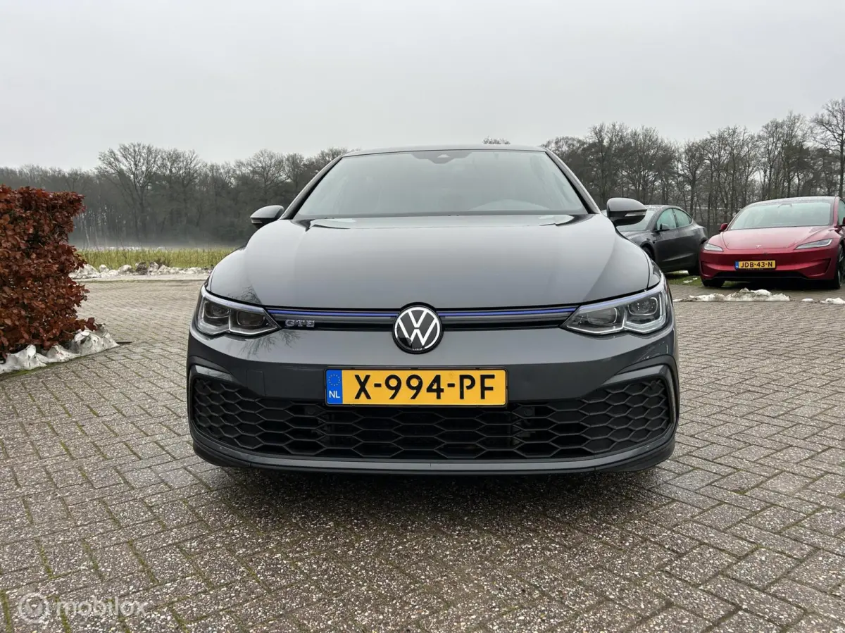 1.4 eHybrid GTE / Leer / ACC / 18" / Memory