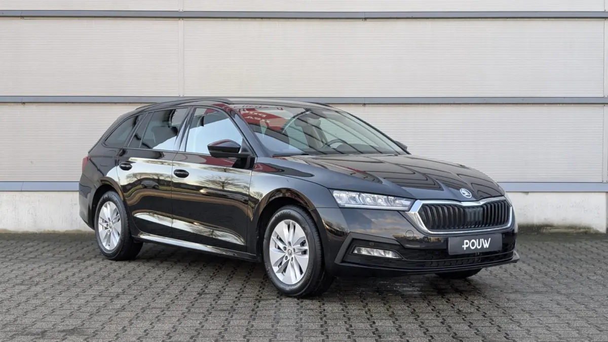 1.0 e-TSI 110pk DSG Business Edition | Navigatie | Elektrische Achterklep