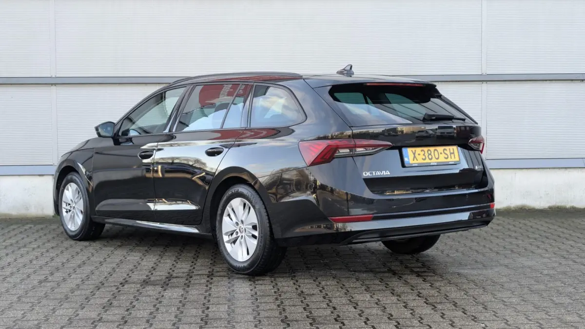 1.0 e-TSI 110pk DSG Business Edition | Navigatie | Elektrische Achterklep