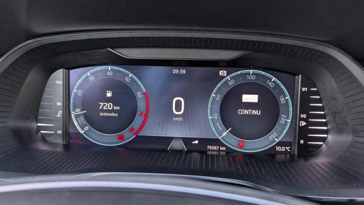 1.0 e-TSI 110pk DSG Business Edition | Navigatie | Elektrische Achterklep