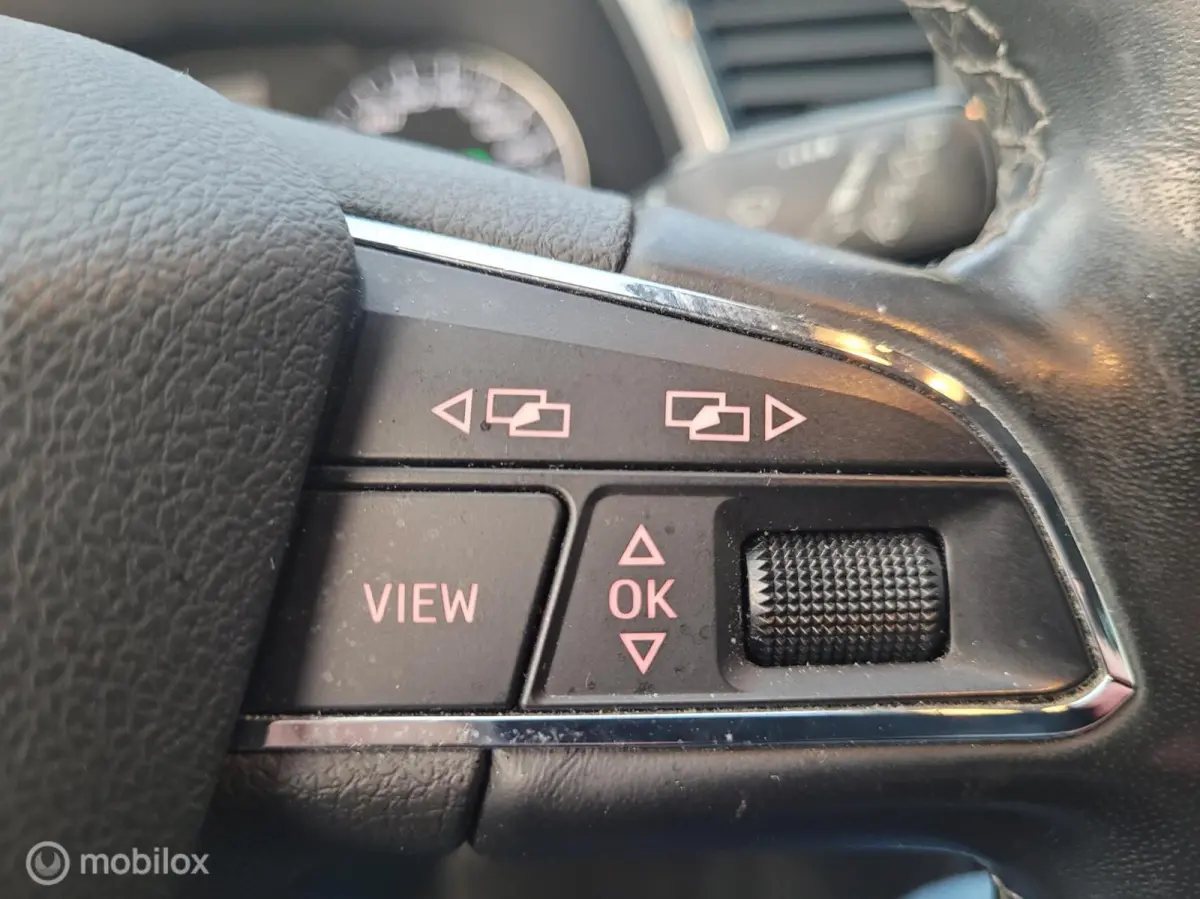 1.0 EcoTSI Style Business Intense AUTOMAAT!