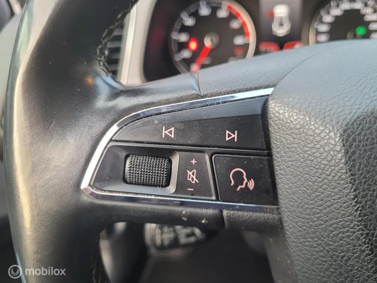 1.0 EcoTSI Style Business Intense AUTOMAAT!