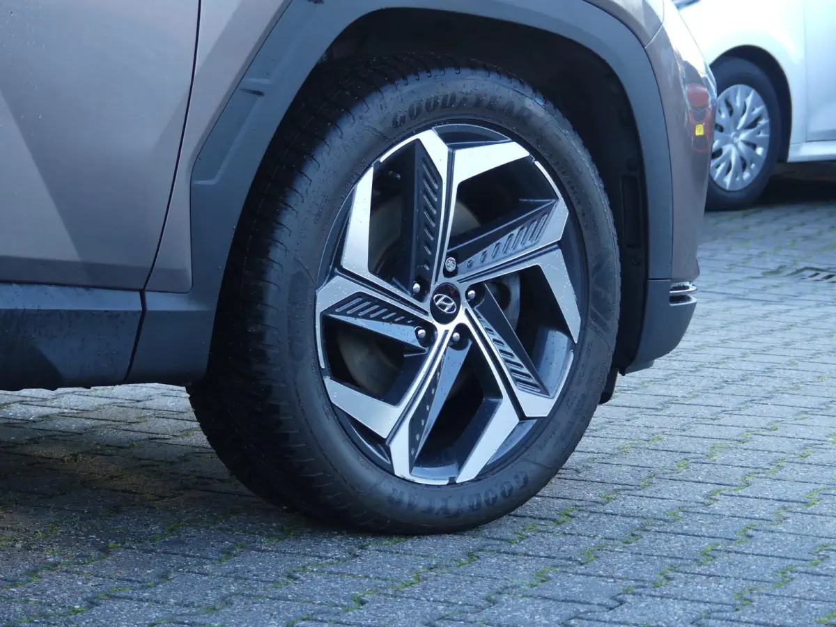 1.6 T-CRDI Diesel-Hybrid Premium Sky / Pano / Leder / Winter