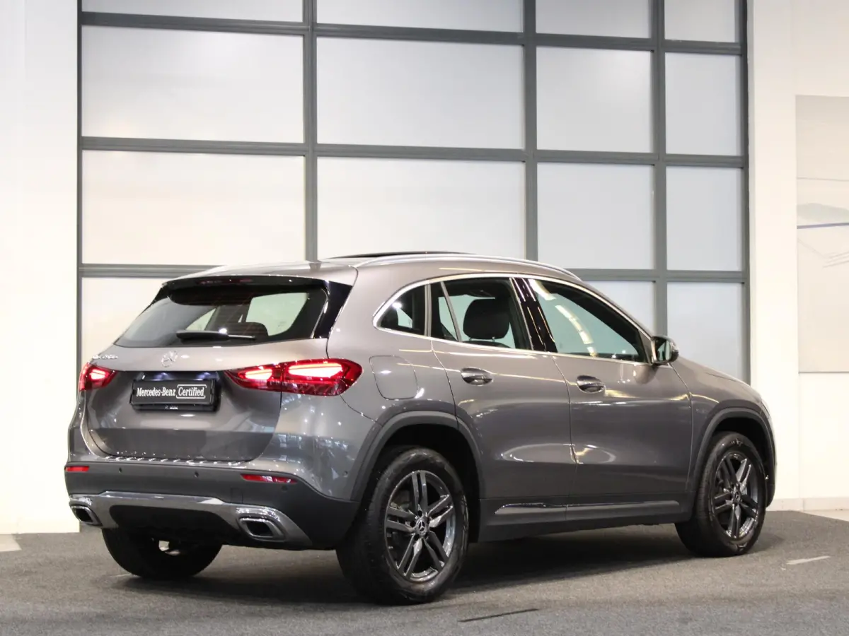 250 e Luxury Line Panorama dak